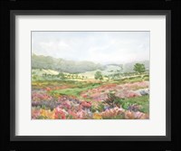 Field of Flowers Fine Art Print