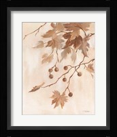 Boho Natural II Framed Print