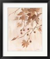 Boho Natural II Framed Print