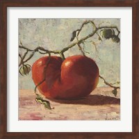 Red Tomato Fine Art Print