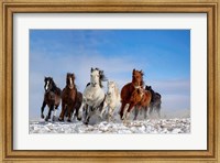 Mongolia Horses Fine Art Print