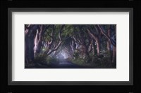 The Dark Hedges Fine Art Print