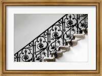 Forged Handrail Fine Art Print