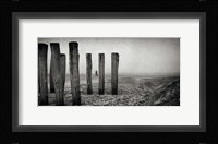 Astray Fine Art Print