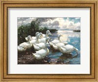 Ducks by the Lake 1 Fine Art Print