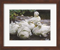 Ducks by the Lake 2 Fine Art Print