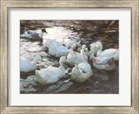 Ducks by the Lake 3 Fine Art Print