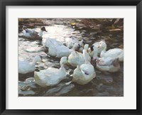 Ducks by the Lake 3 Fine Art Print