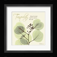 Tranquility Fine Art Print