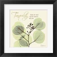 Tranquility Fine Art Print