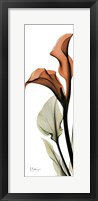 Terracotta Calla Lily Fine Art Print