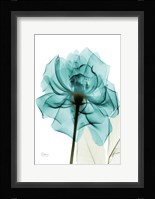 Teal Spirit Rose Framed Print