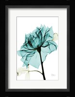 Teal Spirit Rose 2 Framed Print
