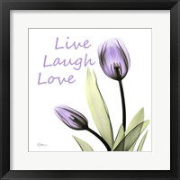 Live Laugh Love Fine Art Print