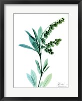 Lily of The Valley Fine Art Print