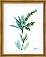Lily of The Valley Fine Art Print