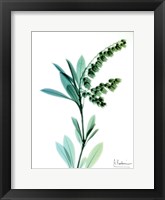 Lily of The Valley Fine Art Print