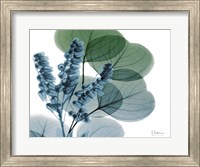 Lilly of Eucalyptus Fine Art Print
