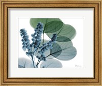 Lilly of Eucalyptus Fine Art Print
