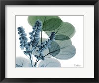 Lilly of Eucalyptus Fine Art Print