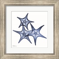 Blue Three Starfish Fine Art Print