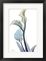 Gold Splash Calla Lily Fine Art Print