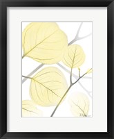 Illuminated Eternity 1 Framed Print