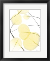 Illuminated Eternity 2 Framed Print