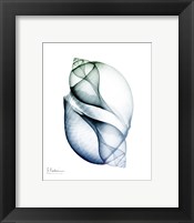 Crystal Breeze 1 Fine Art Print