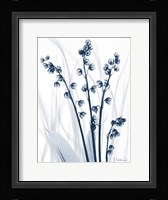 Radiant Blues 1 Framed Print