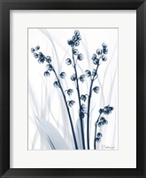 Radiant Blues 1 Fine Art Print