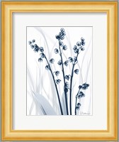 Radiant Blues 1 Fine Art Print