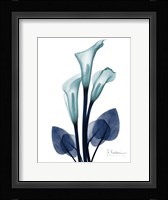 Midnight Calla Lily 1 Fine Art Print