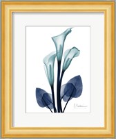 Midnight Calla Lily 1 Fine Art Print