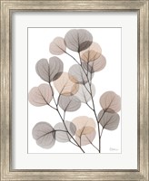 Earthy Eucalyptus Bunch Fine Art Print
