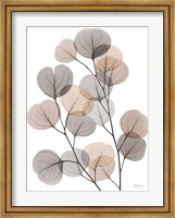 Earthy Eucalyptus Bunch Fine Art Print