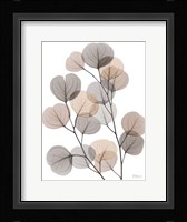 Earthy Eucalyptus Bunch Fine Art Print