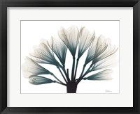 Lily Of The Jungle Fine Art Print