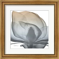 Magnolia Earthy Beauty New Fine Art Print