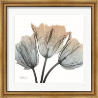 Earthy Tulips Fine Art Print