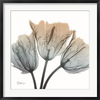 Earthy Tulips Fine Art Print