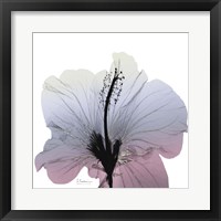 Silver Splash 1 Fine Art Print