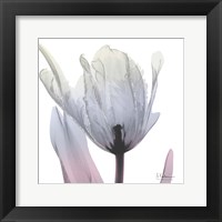 Silver Splash 2 Fine Art Print