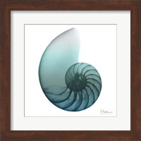 Water Snail 4 Fine Art Print