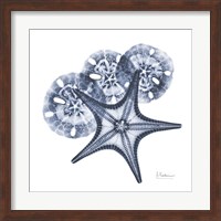 Indigo Starfish and Sand Dollar Fine Art Print