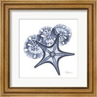 Indigo Starfish and Sand Dollar Fine Art Print