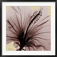 Spring Hibiscus Fine Art Print