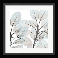 Sandy Blooms 2 Framed Print
