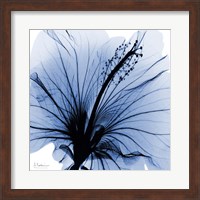 Indigo Hibiscus Turn Fine Art Print