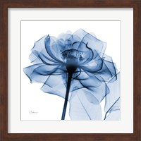 Indigo Rose Fine Art Print